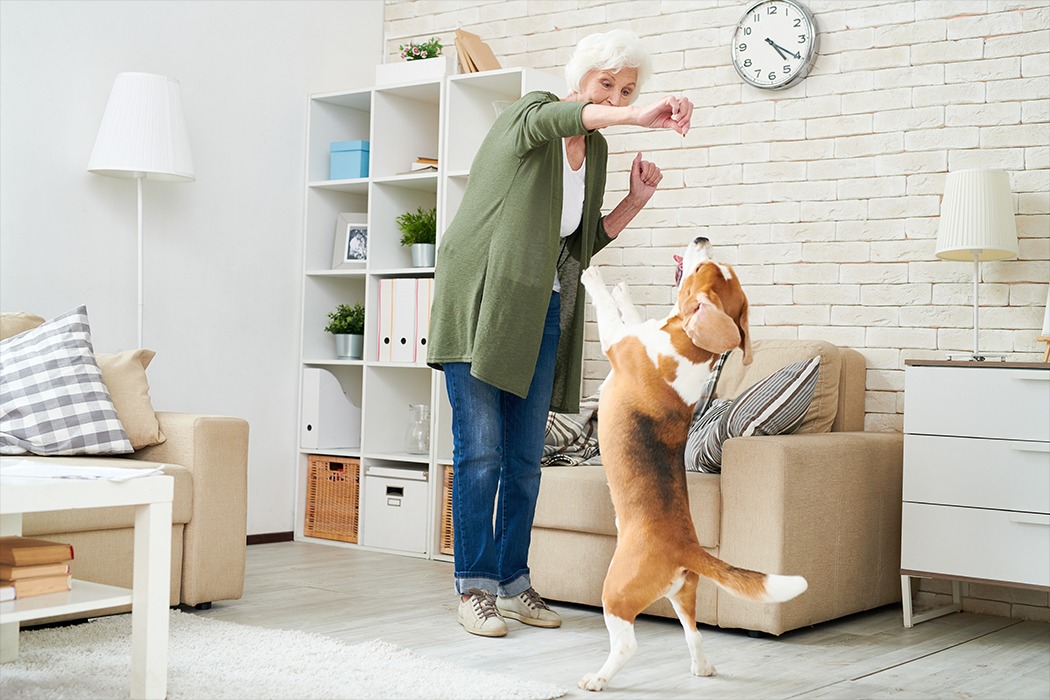 Older Woman and Her Dog Older Woman and Her Dog