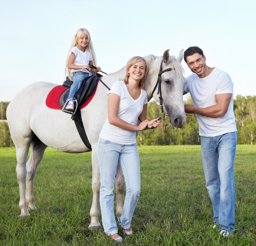 Family and Their Horse Family and Their Horse